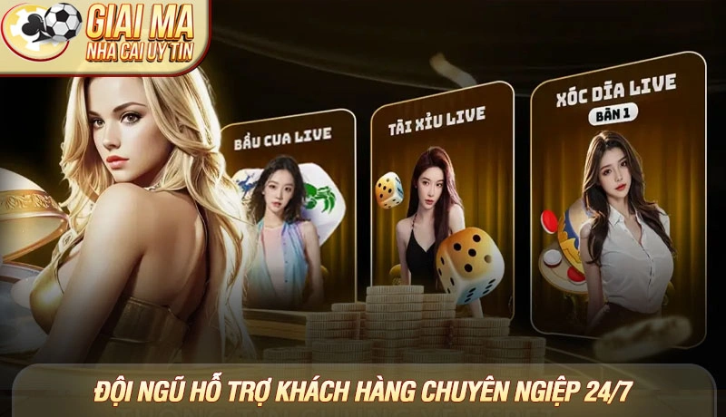 Đội ngũ hỗ trợ khách hàng chuyên ngiệp luôn sẵn sàng phục vụ 24/7