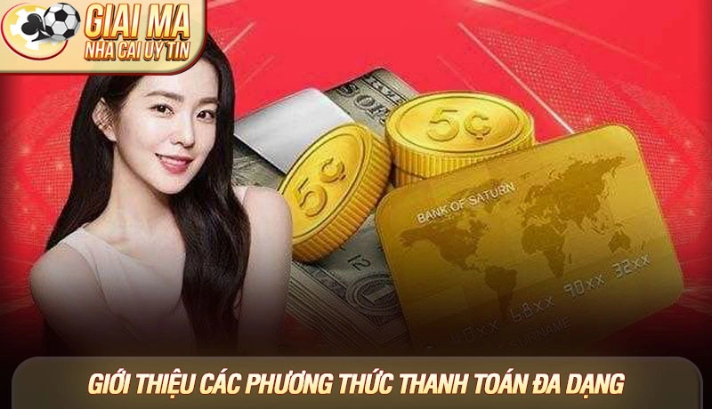 Giới thiệu các phương thức thanh toán đa dạng
